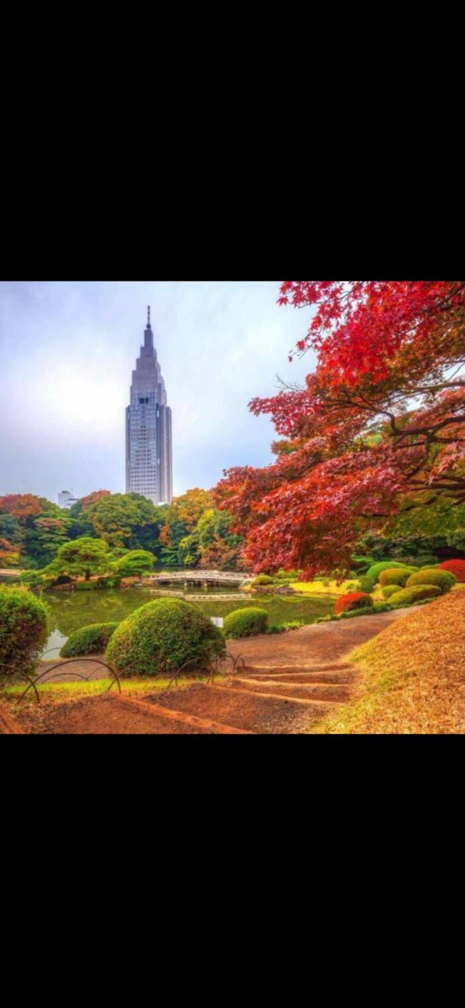新宿安靜の家-A Quiet Home In Shinjuku - A 26 Square Meter Double Bed Room That Feels Like Home Tóquio Exterior foto